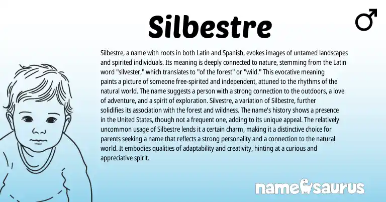 Infographic about Silbestre name meaning, Silbestre is a name from Latin origin(s).