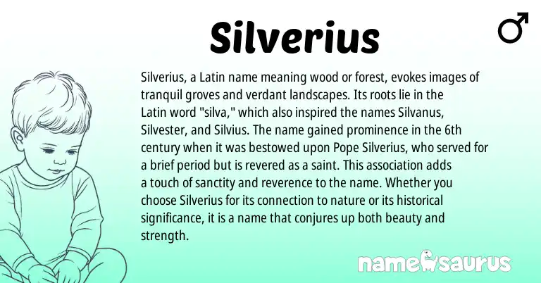 Infographic about Silverius name meaning, Silverius is a name from Latin origin(s).