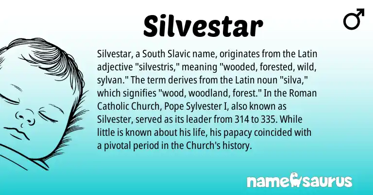 Infographic about Silvestar name meaning, Silvestar is a name from Roman, Slavic, Latin origin(s).