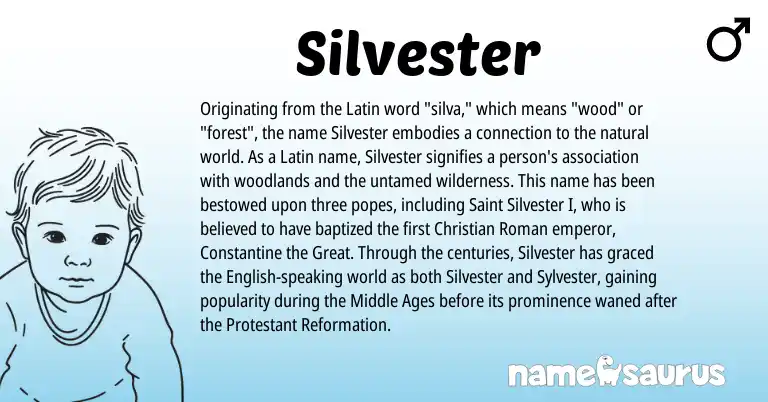 Infographic about Silvester name meaning, Silvester is a name from Roman, English, Latin origin(s).