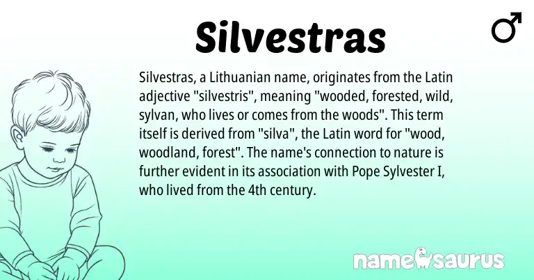 Infographic about Silvestras name meaning, Silvestras is a name from Lithuanian, Latin origin(s).