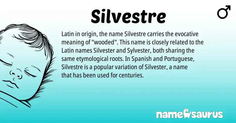 Infographic about Silvestre name meaning, Silvestre is a name from Spanish, Latin, Portuguese origin(s).