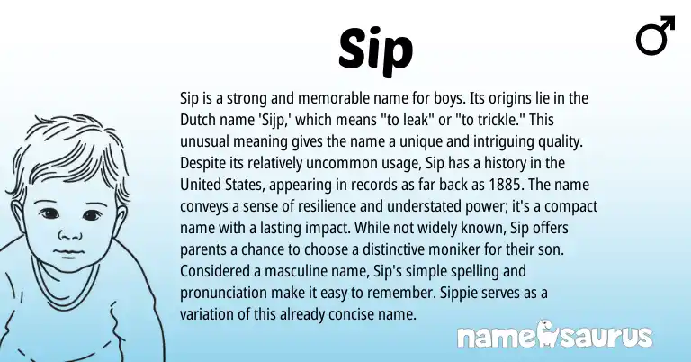 Infographic about Sip name meaning, Sip is a name from Dutch origin(s).