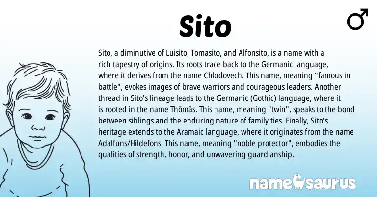 Infographic about Sito name meaning, Sito is a name from Aramaic, Germanic, Gothic origin(s).