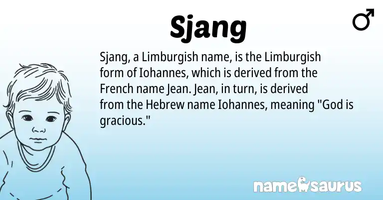 Infographic about Sjang name meaning, Sjang is a name from French, Limburgish, Hebrew origin(s).