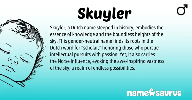 Infographic about Skuyler name meaning, Skuyler is a name from Dutch, Norse origin(s).