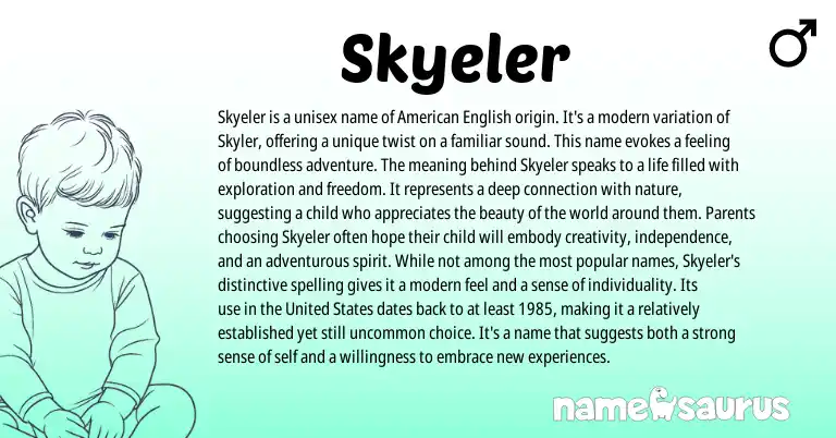 Infographic about Skyeler name meaning, Skyeler is a name from American origin(s).