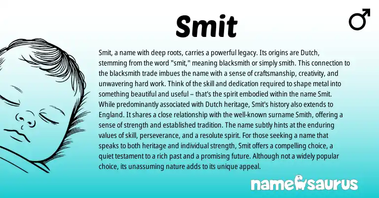 Infographic about Smit name meaning, Smit is a name from Dutch origin(s).