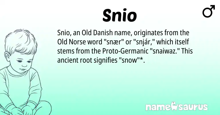 Infographic about Snio name meaning, Snio is a name from Old Norse, Germanic, Old Danish origin(s).