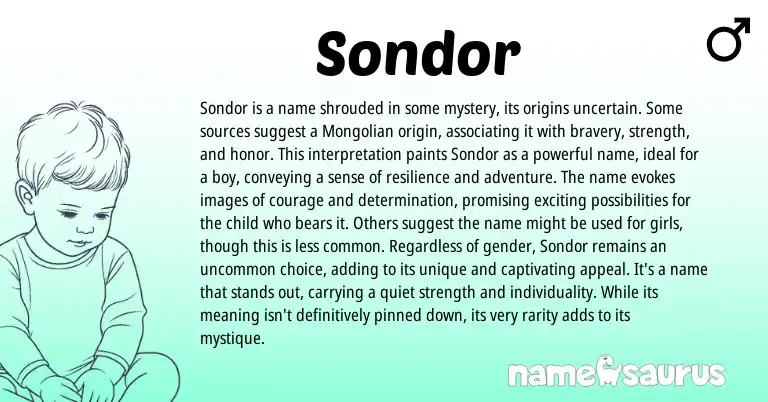 Infographic about Sondor name meaning, Sondor is a name from Mongolian origin(s).