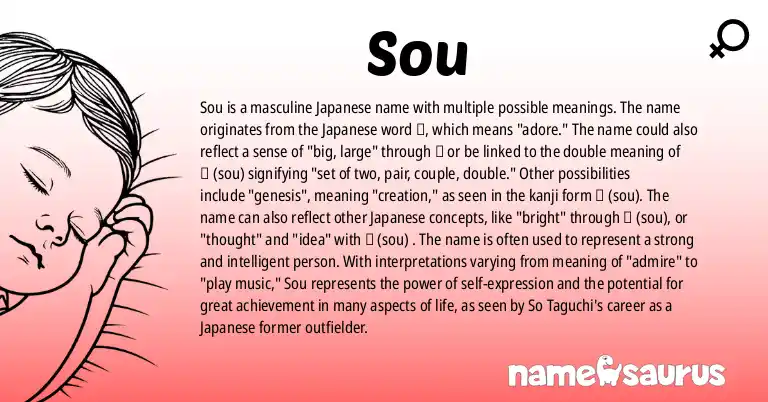 Infographic about Sou name meaning, Sou is a name from Japanese origin(s).