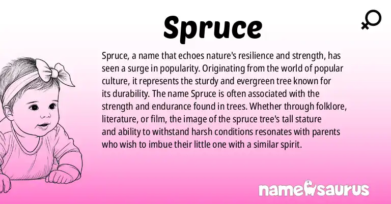 Infographic about Spruce name meaning, Spruce is a name from Popular Culture origin(s).