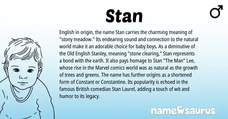 Infographic about Stan name meaning, Stan is a name from Old English, English, British origin(s).