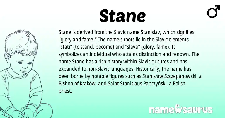 Infographic about Stane name meaning, Stane is a name from Slavic, Polish origin(s).