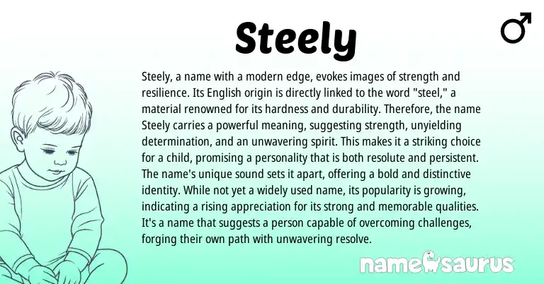 Infographic about Steely name meaning, Steely is a name from English origin(s).