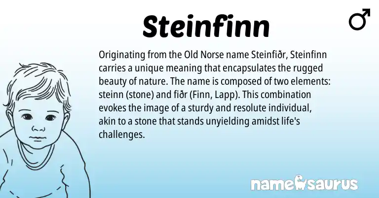 Infographic about Steinfinn name meaning, Steinfinn is a name from Old Norse origin(s).