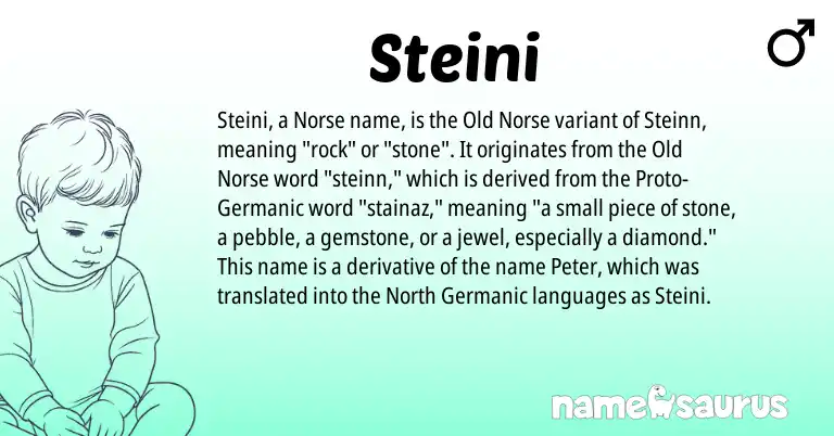 Infographic about Steini name meaning, Steini is a name from Old Norse, Germanic, Norse origin(s).