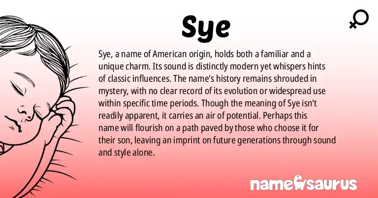 Infographic about Sye name meaning, Sye is a name from American origin(s).