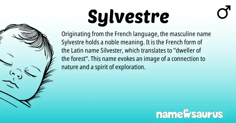 Infographic about Sylvestre name meaning, Sylvestre is a name from French, Latin origin(s).