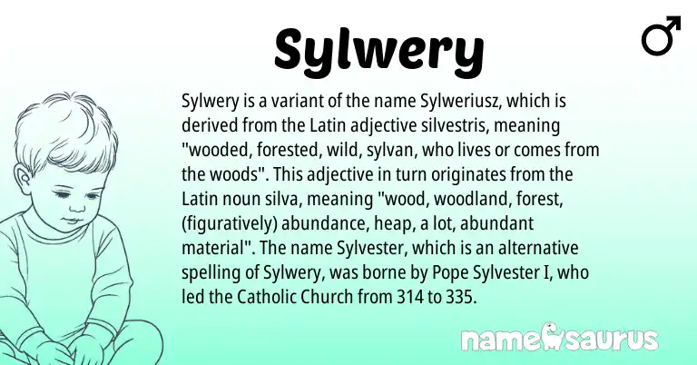 Infographic about Sylwery name meaning, Sylwery is a name from Latin origin(s).