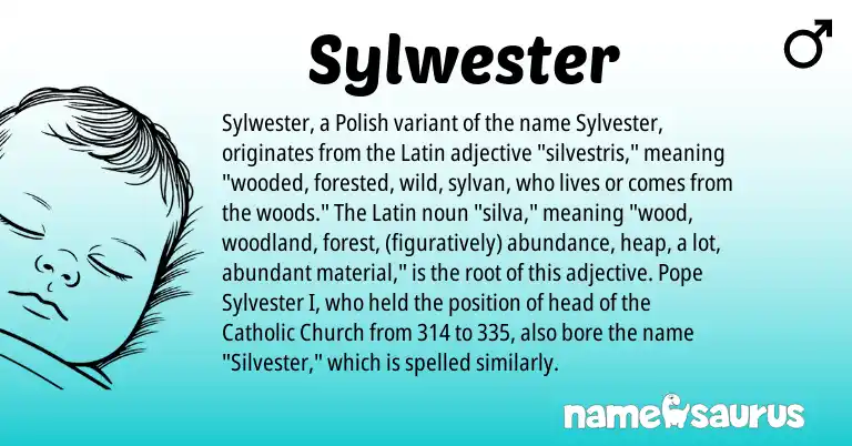 Infographic about Sylwester name meaning, Sylwester is a name from Polish, Latin origin(s).