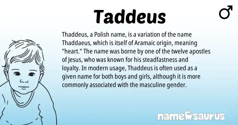 Infographic about Taddeus name meaning, Taddeus is a name from Aramaic, Polish origin(s).