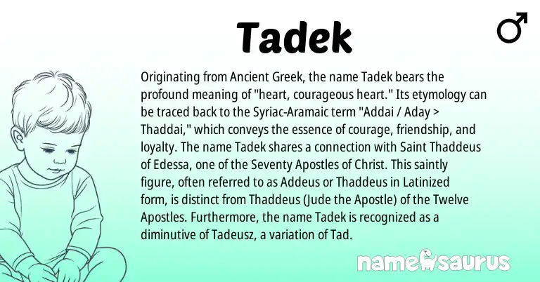 Infographic about Tadek name meaning, Tadek is a name from Ancient Greek, Syriac-Aramaic origin(s).