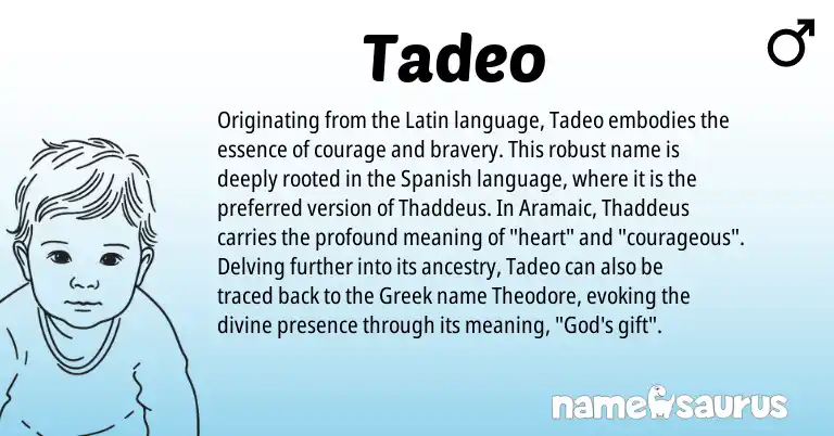 Infographic about Tadeo name meaning, Tadeo is a name from Aramaic, Spanish, Latin, Greek origin(s).