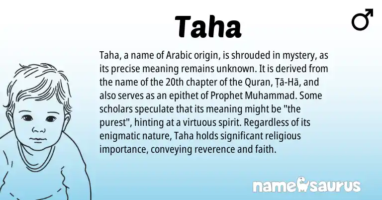 Infographic about Taha name meaning, Taha is a name from Arabic origin(s).