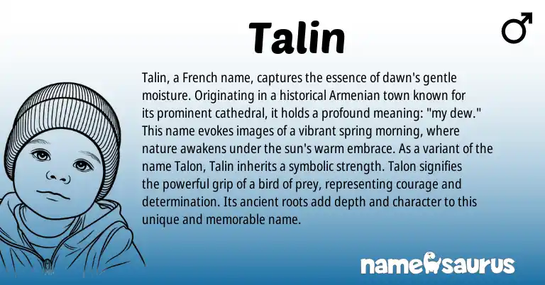 Infographic about Talin name meaning, Talin is a name from Armenian, French origin(s).