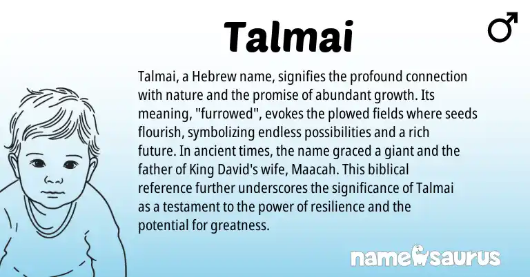 Infographic about Talmai name meaning, Talmai is a name from Hebrew origin(s).