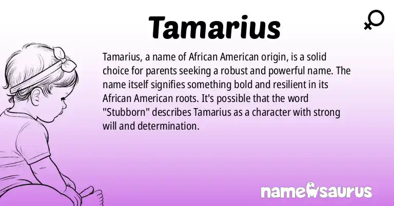 Infographic about Tamarius name meaning, Tamarius is a name from African American origin(s).