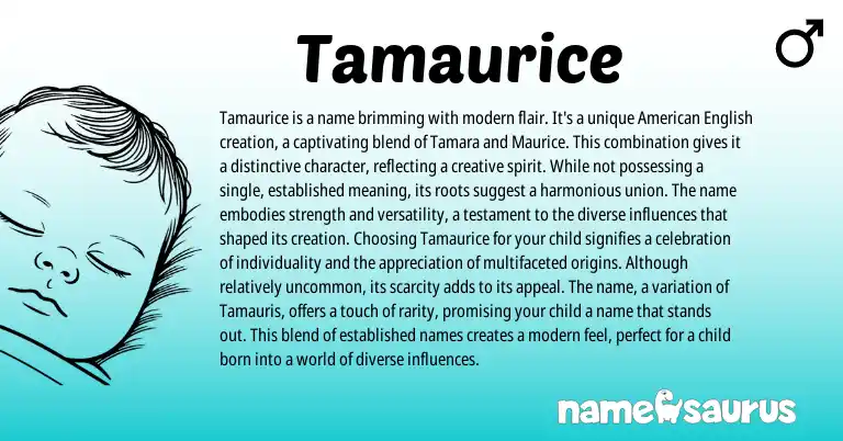 Infographic about Tamaurice name meaning, Tamaurice is a name from Other origin(s).