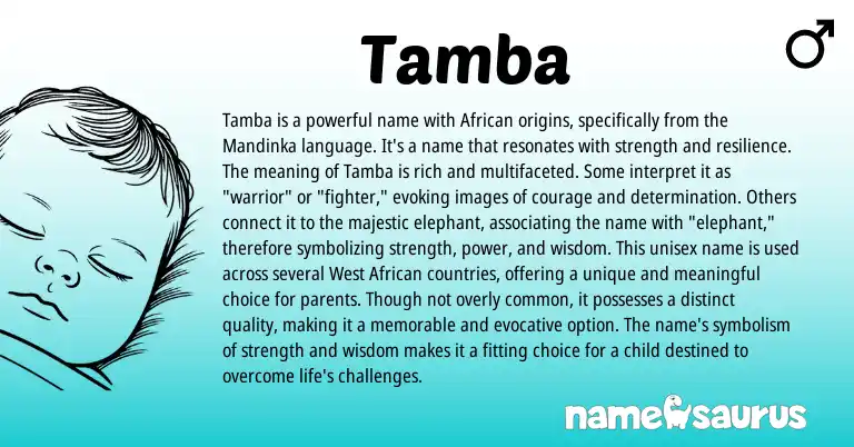 Infographic about Tamba name meaning, Tamba is a name from African, Western origin(s).