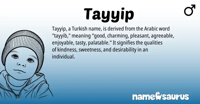 Infographic about Tayyip name meaning, Tayyip is a name from Arabic, Turkish origin(s).
