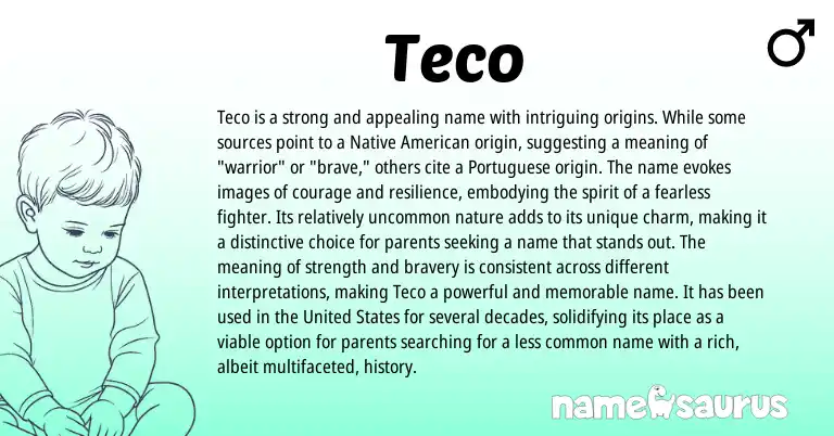 Infographic about Teco name meaning, Teco is a name from American origin(s).