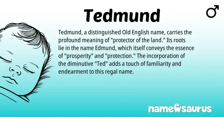 Infographic about Tedmund name meaning, Tedmund is a name from Old English origin(s).