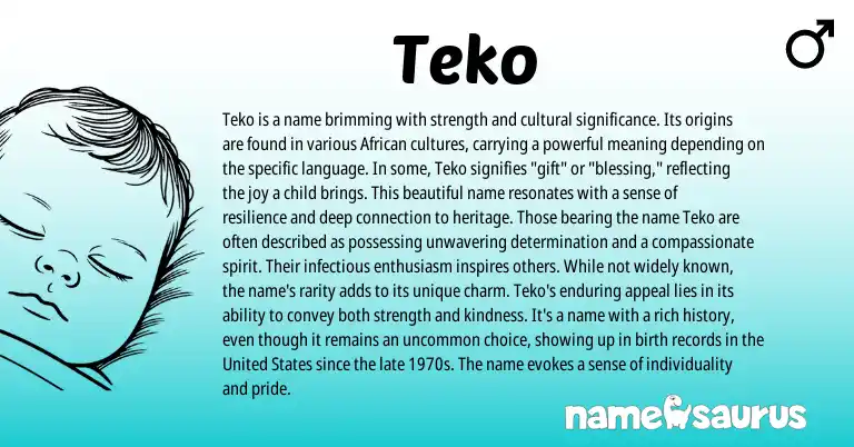 Infographic about Teko name meaning, Teko is a name from African origin(s).