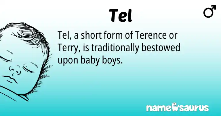 Infographic about Tel name meaning, Tel is a name from N/A origin(s).