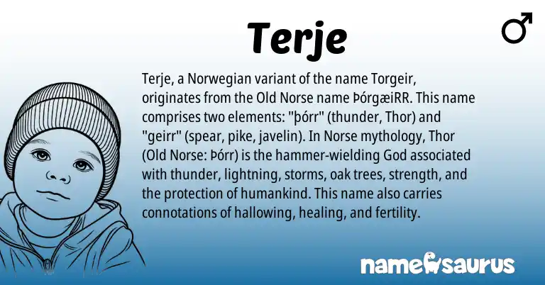 Infographic about Terje name meaning, Terje is a name from Norwegian, Old Norse, Norse origin(s).