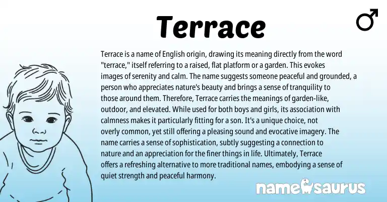 Infographic about Terrace name meaning, Terrace is a name from Latin, English origin(s).