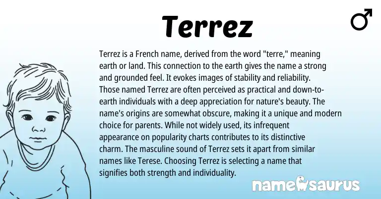 Infographic about Terrez name meaning, Terrez is a name from French origin(s).
