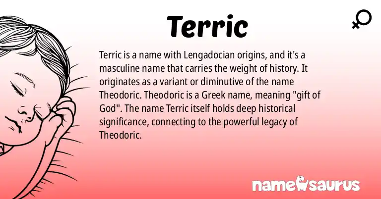 Infographic about Terric name meaning, Terric is a name from Lengadocian origin(s).