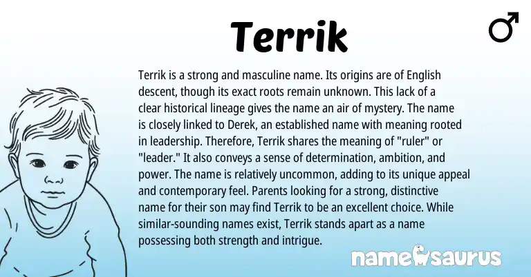 Infographic about Terrik name meaning, Terrik is a name from English origin(s).