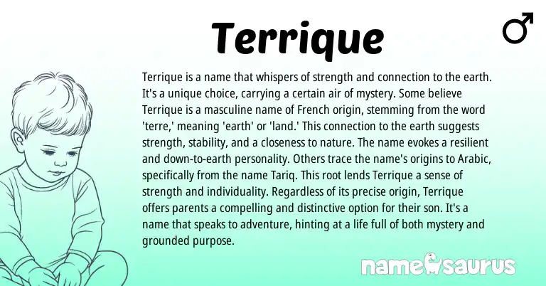 Infographic about Terrique name meaning, Terrique is a name from French origin(s).
