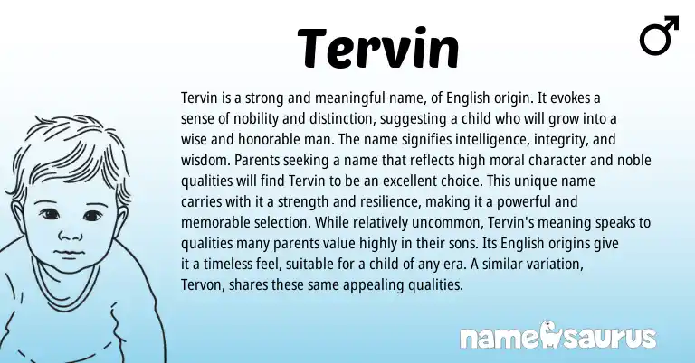 Infographic about Tervin name meaning, Tervin is a name from English origin(s).