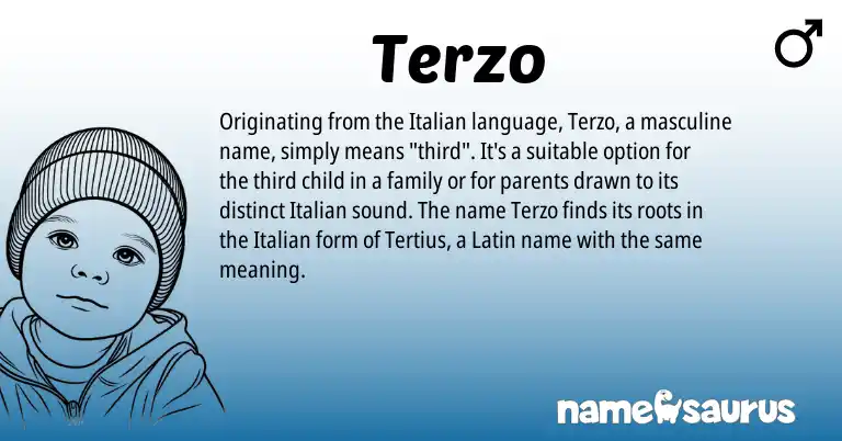 Infographic about Terzo name meaning, Terzo is a name from Latin, Italian origin(s).
