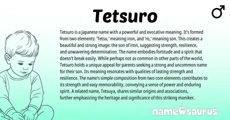 Infographic about Tetsuro name meaning, Tetsuro is a name from Japanese origin(s).
