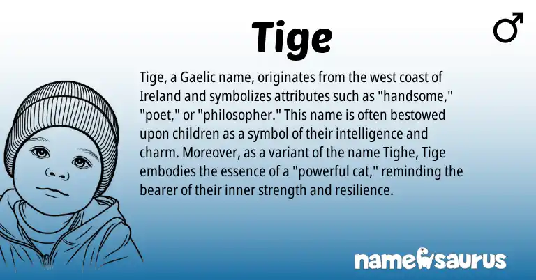 Infographic about Tige name meaning, Tige is a name from Gaelic, Ireland origin(s).