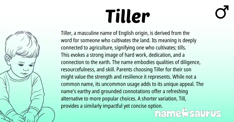 Infographic about Tiller name meaning, Tiller is a name from English origin(s).